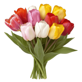 A vibrant bouquet of tulips featuring a mix of colors, including red, yellow, pink, and white, beautifully arranged with fresh green leaves against a white background. png