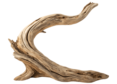 Unique driftwood piece, perfect for decor. png