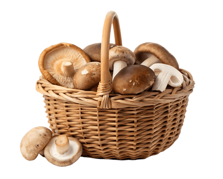 Assortment of fresh mushrooms in a wicker basket. png