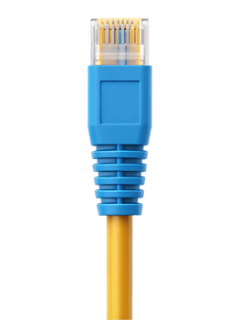Close up of a blue RJ45 connector on a yellow ethernet cable. png