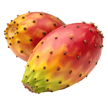 Two ripe prickly pears, vibrant colors, close up. png