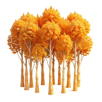 sought after traditional A grove of aspen trees with golden leaves, autumnal colors, warm sunlight, precision png