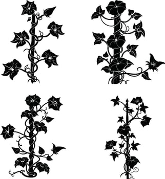 Flower Silhouette Collection Stylish vector