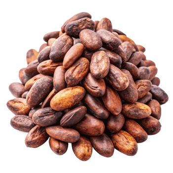 Aromatic Heap of Cacao Beans Ready for Chocolate Making png