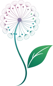 Dandelion beauty minimal style soft graceful illustration elegant lines abstract bloom. . png