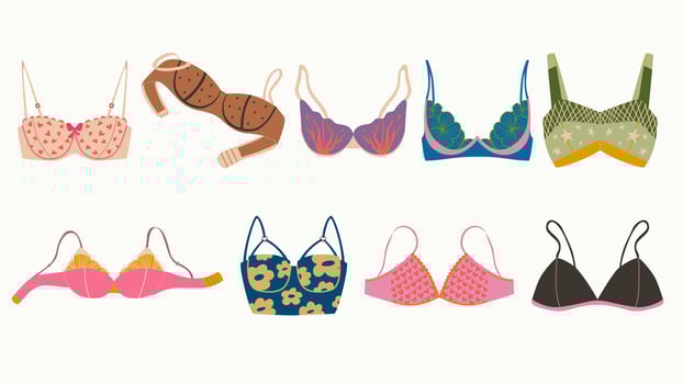Set of bra, underwear for women. Fashion collection with various types of brassieres. vector