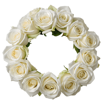 Beautiful wreath of white roses isolated on the transparent background, perfect for decoration and summer designs png