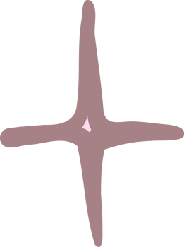 Coquette pink Star illustration png