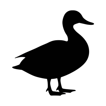Silhouette of a waterbird standing in profile with its head isolated on transparent background png