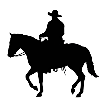 Silhouette of a person riding a horse isolated on transparent background png