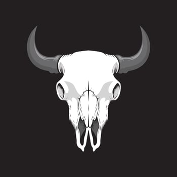 Bull skull illustration vector