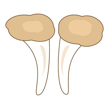 Two tooth with one tooth missing vector
