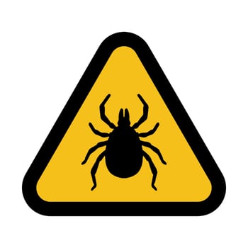 Tick Warning Sign, Yellow Triangular Hazard Symbol vector