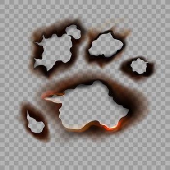 Burned paper spots composition vector