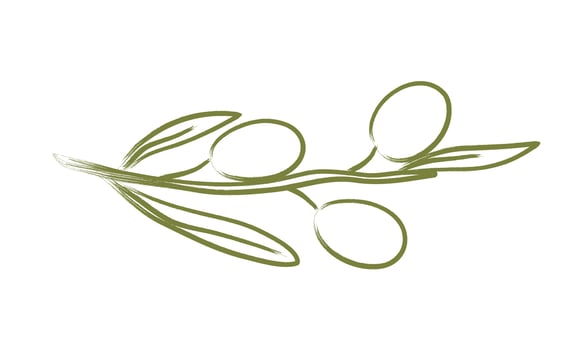 Hand drawn crayon olive tree branch. Minimal pencil brush for sketch, ink art, menu, poster, tattoo. Chalk charcoal olives. Isolated doodle illustration. vector