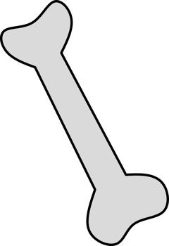 Bone clipart illustration png