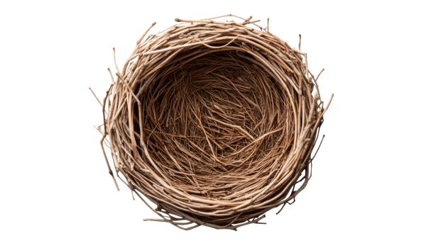 Bird nest woven from dry branches closeup, isolated, top view, cut out transparent png