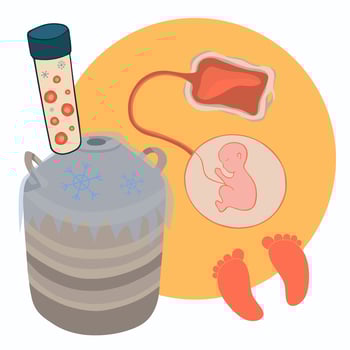 Illustration of cord blood freezing. Stem cell cryobank. vector
