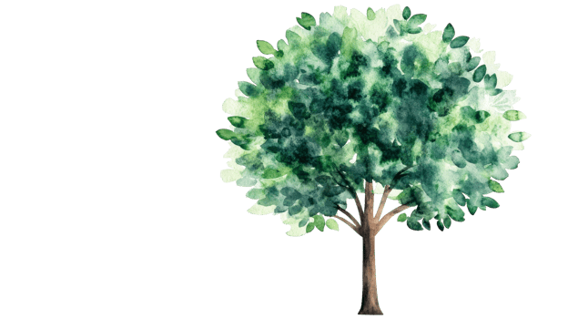A beautiful watercolor representation of a lush green tree png