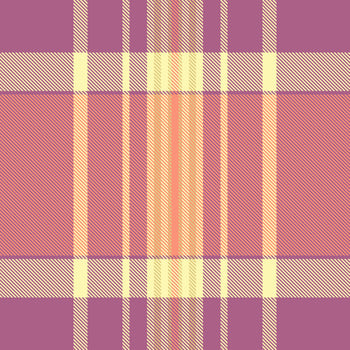 A plaid fabric with a checkered pattern vector
