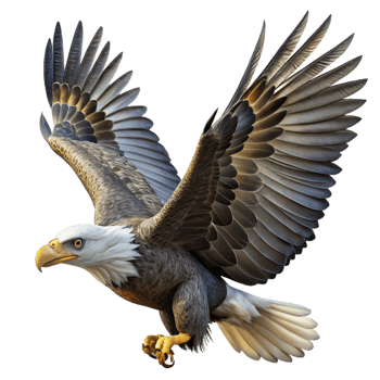 dramatic rare A majestic bald eagle soaring through the sky, powerful and graceful, dramatic lighting, detailed feathers, png