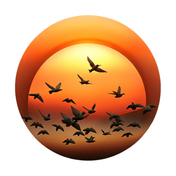 gorgeous peaceful bohemian A flock of birds silhouetted against a fiery sunset, dramatic lighting, minimalist style studio quality png