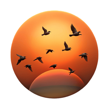 celebrated nordic A flock of birds silhouetted against a fiery sunset, dramatic lighting, minimalist style expertly shot png