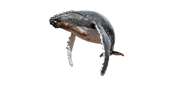 Humpback Whale. Marine Life And Ocean Conservation Symbol Isolated On Transparent Background png