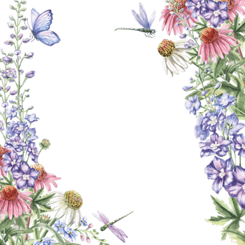 Square frame with bouquet, butterflies and dragonfly. Isolated watercolor illustration of garden flowers for design of cosmetic products, printing on posters, clothes png