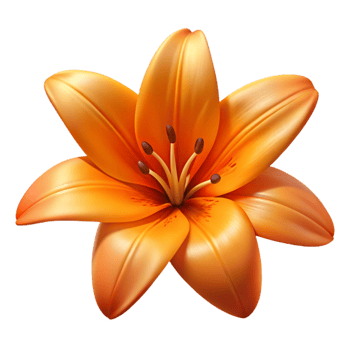 serene gothic Single, vibrant orange lily flower with detailepetals anstamen, dramatic lighting, front view, isolateon transparent background,high-resolution product photography original png