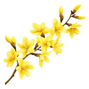 Artistic Yellow Flower Blossom Twig png