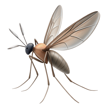 unparallelefuturistic Mosquito with delicate legs, thin proboscis, translucent wings, studio lighting, side view, minimalist, with transparent background,high-resolution product photography refined png