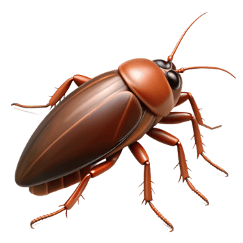 stunning reflective modern Cockroach with glossy brown exoskeleton, detaileantennae, long legs, dramatic lighting, minimalist, with transparent background,high-resolution product photography exclusive png