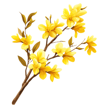 yellow flowers on a branch, Spring Floral Beauty png
