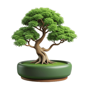 distinctive bohemian Bonsai tree with cascading branches, mossy base, studio lighting, front view, isolateon transparent background,high-resolution product photography luxury png
