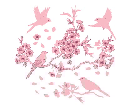 Birds resting on a branch of Sakura, with a background that is both editable and has a transparent color foundation. vector