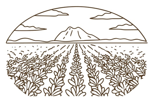 Illustrated agricultural landscape with mountains and cloudy sky in harvest season vector