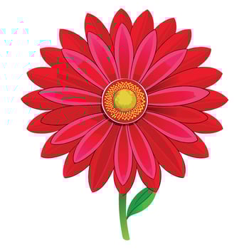 Red Flower With Green Stem vector