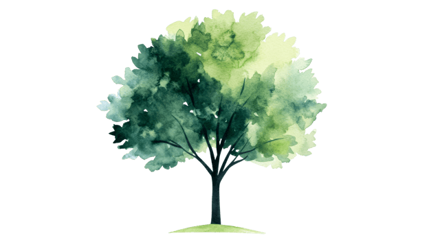 Watercolor tree illustration on black background, cut out transparent png