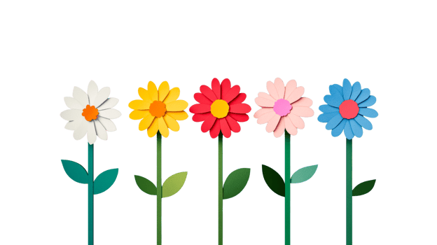 Colorful Daisies on Black Background, cut out transparent png