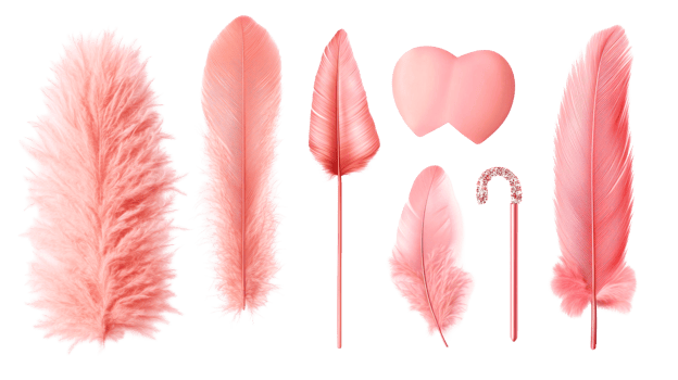 Pink feathers and decorative elements isolated on black, cut out transparent png