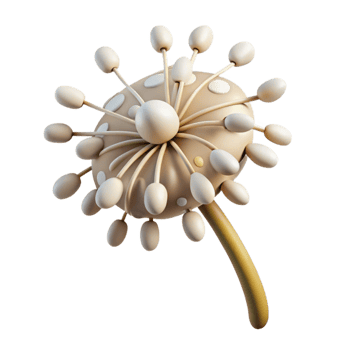 wonderful contemporary Dancing Dandelion Cutout White Seeds Transparent Background high resolution png