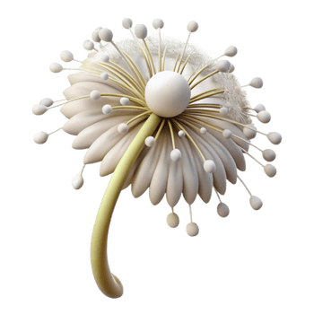 serene rustic Dancing Dandelion Cutout White Seeds Transparent Background professional png