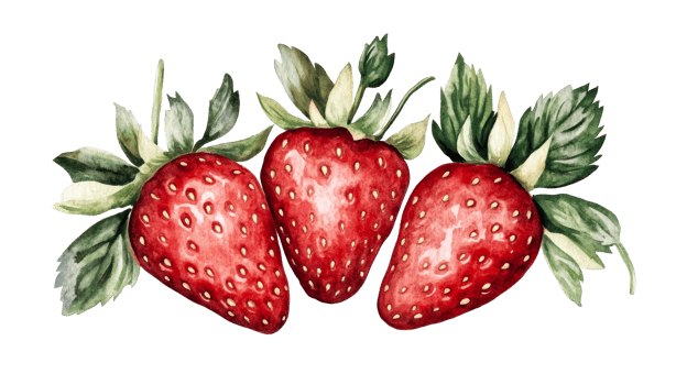 Watercolor strawberries with green leaves, realistic still life, cut out transparent png
