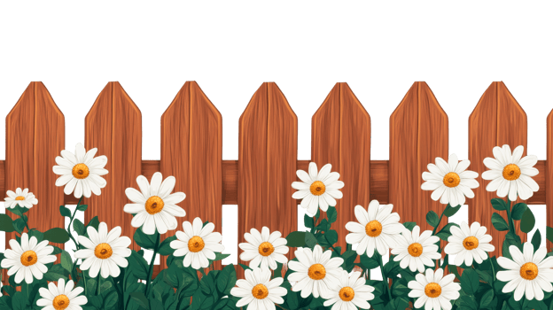 Rustic wooden fence with daisies blooming in garden, cut out transparent png