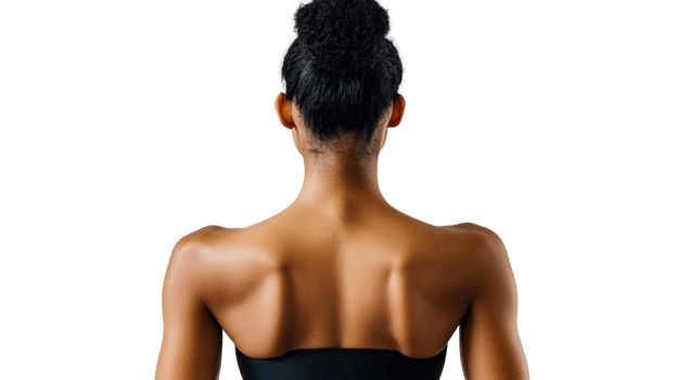 Rear view, smooth skin, female upper body, hair bun, studio shot, cut out transparent png