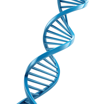 Abstract 3D rendering of a DNA double helix. png