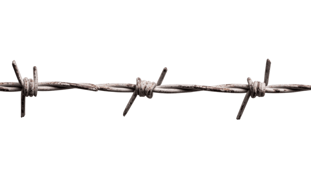 Barbwire fence line on black, detailed security design, cut out transparent png