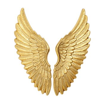 Golden angel wings png