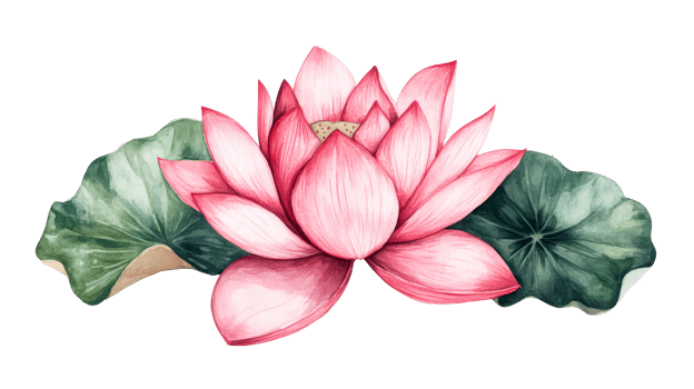 Pink lotus with green leaves, botanical illustration, isolated, cut out transparent png